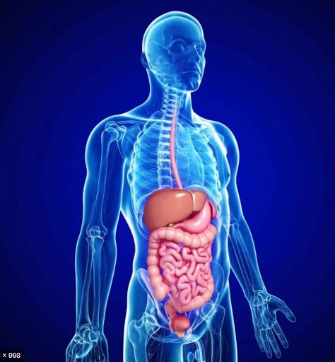 MOPCO Completes its Contributions to the Development of the Specialized Center for Heart and Gastroenterology - Damietta.